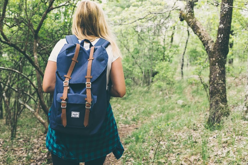 Forest Trek